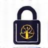 Icon representing enterprise-grade security measures protecting data